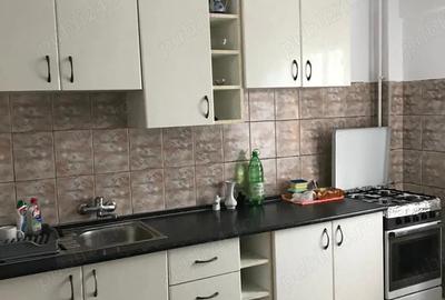 Apartament cu 2 camere semidecomandat în Turnișor - 2