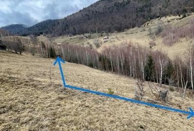 VÂNZARE TEREN CU POTENȚIAL DE DEZVOLTARE ÎN ZONA TURISTICĂ MAGURA-PESTERA - 7