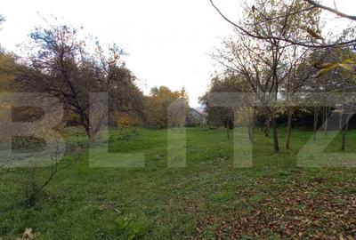 Teren de 1651 mp, în Bună Ziua