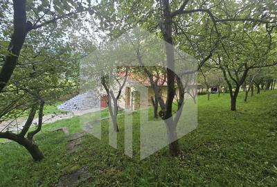 Casa individuala 4 camere teren 3825 mp Cisnadioara - 29