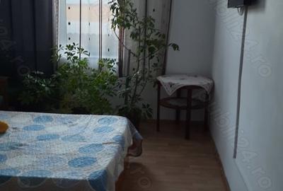 Casă cu 5 camere cu Teren 550 Mp în Sulina - 4