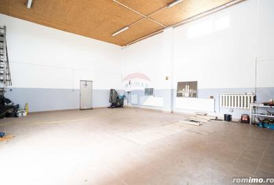 Spațiu comercial, de 270 mp, în Dancu - 1