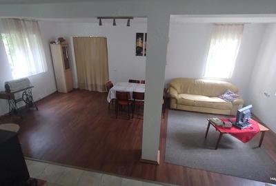 Casă cu Teren 1680 Mp în Govăjdia - 6