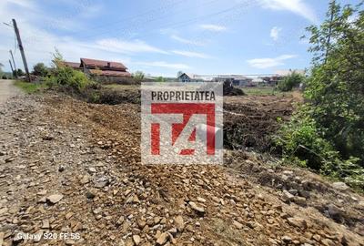 Teren de 1312 mp, în Cătălina - 6