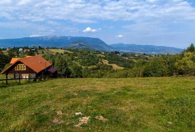 Teren de 10131 mp, în Sohodol