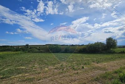 Teren extravilan 12000 mp- Padureni-?endriceni, Boto?ani - 1