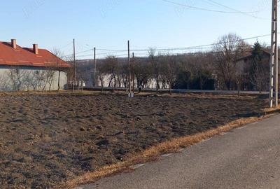 Teren de 1500 mp, în Borșa - 2
