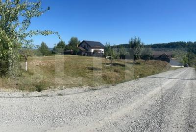 Teren de vanzare 925 mp, zona Valea Jelnei - 6