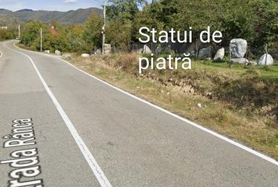 Teren în Central - 5