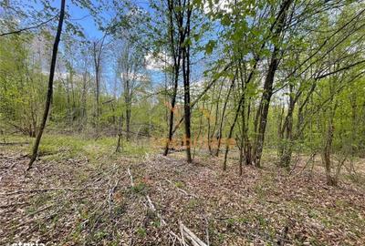 Spațiu comercial, în Bălnaca - 7