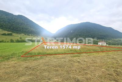 Teren intravilan Zarnesti - 8