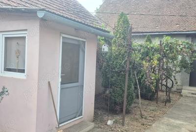 Vand casa in Sculia,Ora?ul Gataia,Jud Timi? (2158mp) - 1