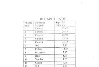 Apartament 6 camere Victoriei - 10