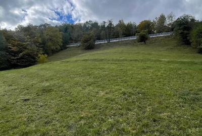 Teren de 4700 mp, în Moieciu - 3