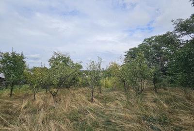 Casă cu Teren 2800 Mp în Bolotești - 6