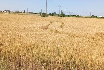 Spațiu comercial, în Oarja - 2