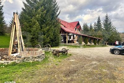 Spațiu comercial, de 600 mp, în Dălghiu - 14