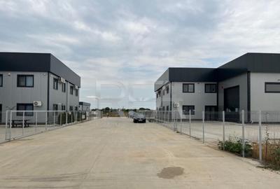 Hala de inchiriat in Domnesti / Centura - 3
