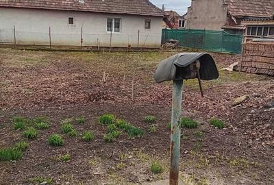 Casă cu 2 camere în Central - 7