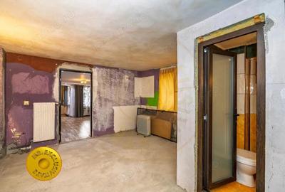 Doua case in aceeasi curte Pitesti, Strada Turcesti - 16