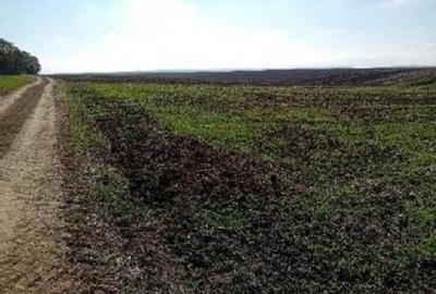 Teren de 6700 mp, în Bârlogu - 1