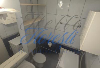 Apartament cu 1 camera, in zona Intre Lacuri - 11