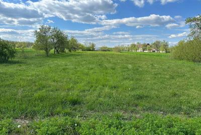 Spațiu comercial, în Teiș - 1