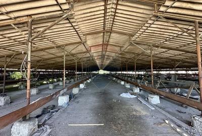 Ferma de vanzare  in Simeria - 8