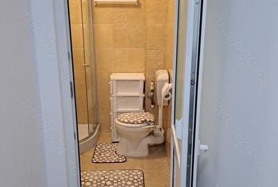 Garsonieră semidecomandată în Ferentari - 7