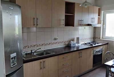 Apartament cu 2 camere semidecomandat în Tilișca - 3