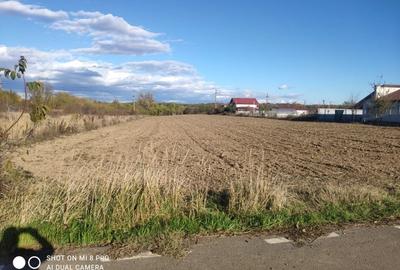 Snagov Ghermănești 4000 Mp Teren de vânzare L3 S+P+1E+M LIDL Ieșirea Spre A3 - 11