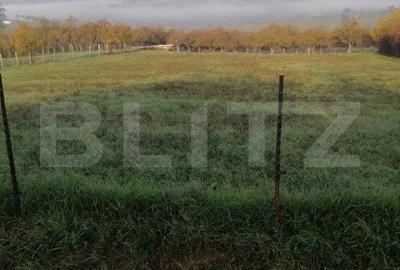 Teren intravilan 3600mp, Posmus Teren intravilan 3600mp, Posmus - 1