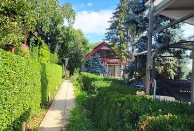Refugiu verde în Snagov – Confort, spațiu și independență - 1
