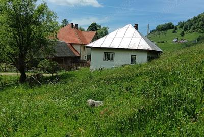 Teren de 3800 mp, în Fundata