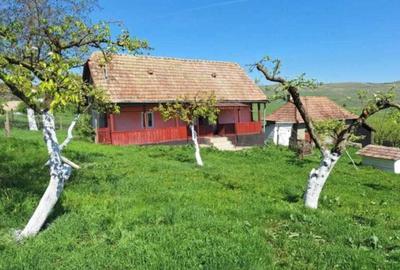 Casă cu 2 camere în Vale - 6