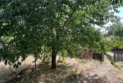 Casă cu 4 camere cu Teren 1610 Mp în Ciochina - 1