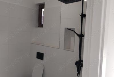 Dau in chirie pt firme casa 3 camere, garaj, curte gradina zona Unic - 3