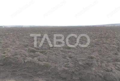 Teren intravilan de vanzare 10.000 mp in zona Industriala Vest Sibiu - 2