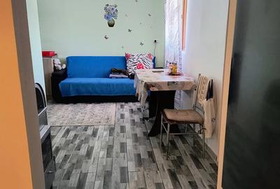 Casă cu 2 camere în Alioș - 4