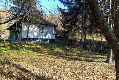 Casă cu Teren 3454 Mp în Mislea - 2