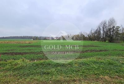 Teren Branesti -Romancierilor - 2