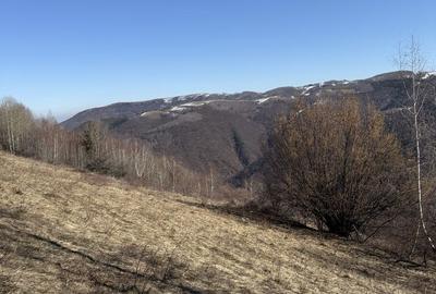 Spațiu comercial, în Mărișel - 4