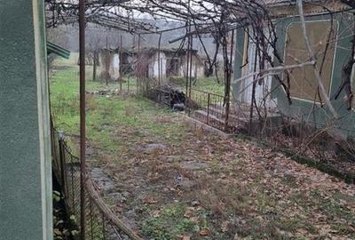 RECO Casa batraneasca cu teren generos in localitatea Tria - 4