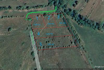 Teren Construcții intravilan de 600 mp, în Sud - 1