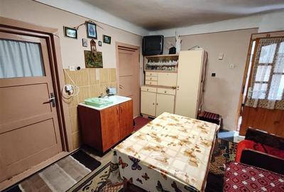 Casa , singur in curte la intrarea in ZIZIN - 3