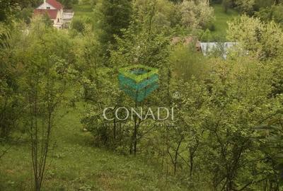 Teren de 800 mp, în Central - 18