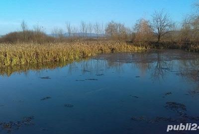 Casă cu 4 camere în Ineu - 9