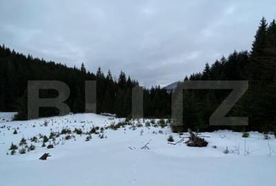 Teren de 2400 mp, în Central - 1