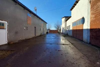 Casă cu 6 camere cu Teren 2878 Mp în Tomnatic - 2