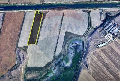 Teren intravilan - 27.400 mp in Cernica - 4